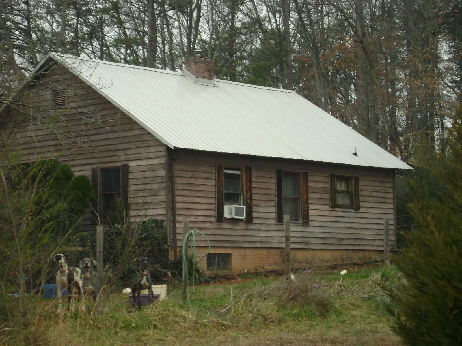 White metal roof on an old wood sided farmhouse, from a Asphalt Shingle Roof Repair job in Fentress